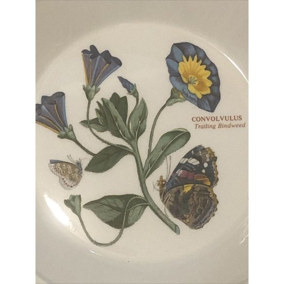 Portmeirion Rim Soup Bowl Botanic Garden Trailing Bindweed Made In England - Picture 2 of 5